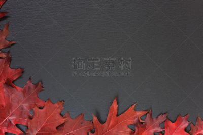 叶子,秋天,黑色背景,褐色,坚果,边框,水平画幅,尖的,无人,传统
