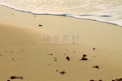 日光,波浪,白昼,美国西北太平洋地区,图像,加利福尼亚,海洋,红海草,太平洋,海草