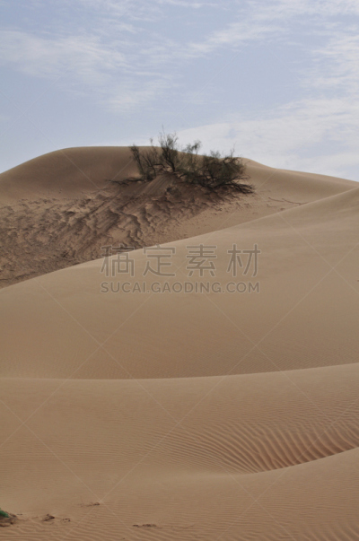 沙丘,empty quarter,阿布扎比,垂直画幅,沙子,无人,户外,干的,阿拉伯联合酋长国