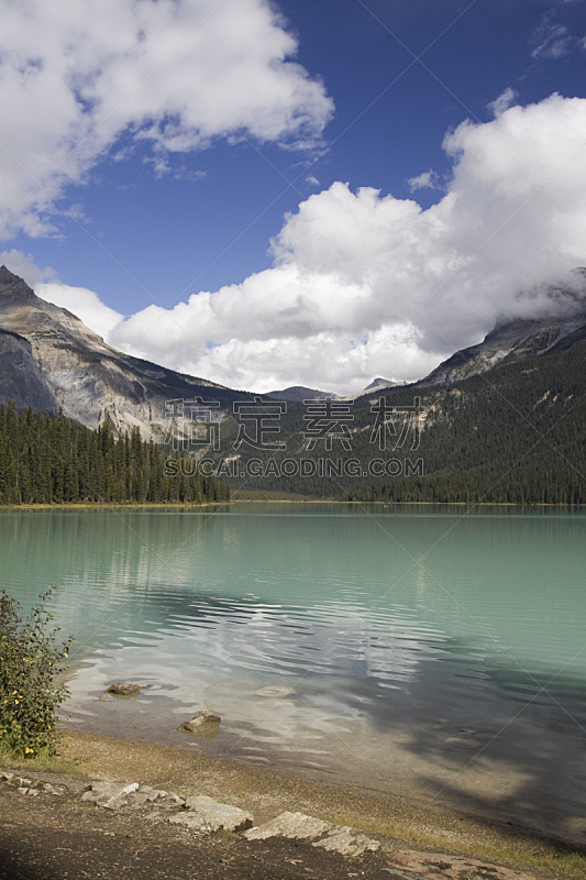 翡翠湖,幽鹤国家公园,加拿大落基山脉,自然,垂直画幅,水,松树,绿色,地形,无人