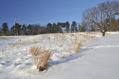 煅炉谷公园,冬天,自然,冬季运动,水平画幅,地形,雪,人,户外,宾夕法尼亚