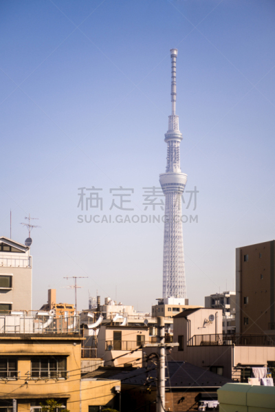 东京天空树,东京都墨田区,中央区,垂直画幅,天空,旅游目的地,无人,日本,户外,城市