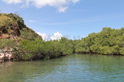 林卡岛,红树,库莫度,水,旅游目的地,水平画幅,热带气候,无人,沼泽,户外