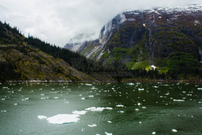 崔西冰河,山,峡湾,水,水平画幅,雪,无人,户外,静水,常绿树