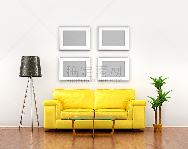 沙发,黄色,墙,照片,空白的,母球,住宅房间,水平画幅,地毯,灯