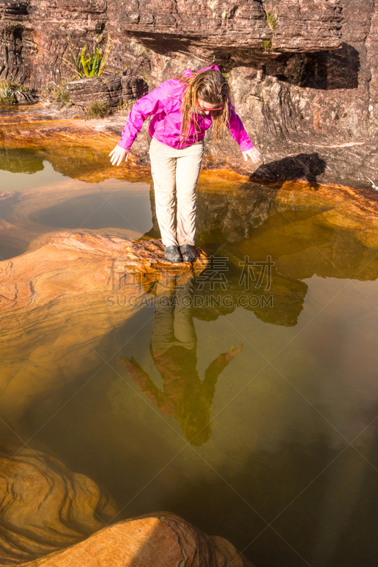 罗赖马山,平顶山区,罗赖马州,平顶山,canaima,委内瑞拉,垂直画幅,南美,无人,户外