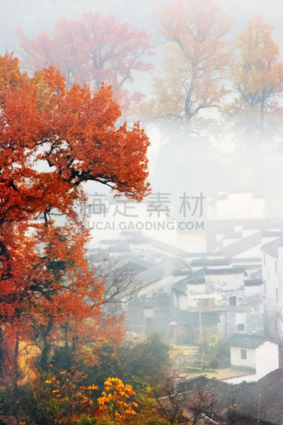 婺源,风景,江西省,垂直画幅,美,地形,山,无人,乡村,户外
