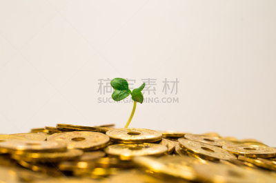 お金を産む植物