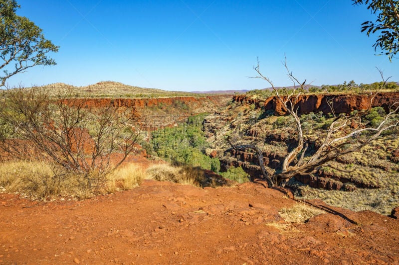 西澳大利亚,dales gorge,徒步旅行,在边上,四只动物,橙色,壁纸,草,巨石,小路