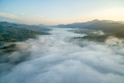 婆罗洲岛,航拍视角,热带雨林,热带气候,环境,泰国,枝繁叶茂,植物,河流,热带树
