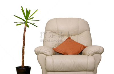 沙发,植物,丝兰木,躺椅,丝兰,座位,水平画幅,无人,椅子,皮革