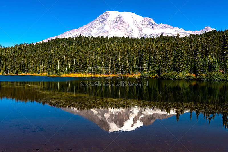雷尼尔雪山,华盛顿州,待售,雪,著名景点,自然美,湖,户外,天空,火山