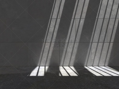 两只动物,混凝土墙,牢房,安全护栏,地牢,庭院,水平画幅,笼子,墙,无人
