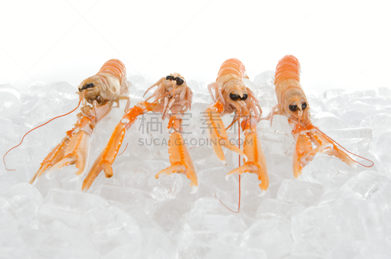 甲壳动物,白色,接力赛,螯虾,食用大虾,碎冰,皮肤,小龙虾,饮食,水平画幅