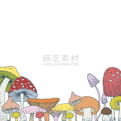 边框,式样,蘑菇,华丽的,森林,素食,香菇,绘画插图,墨水,古典式