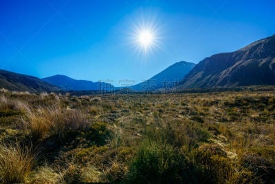 火山,瑙鲁赫伊山,新西兰,山,徒步旅行,五只动物,横越,草坪,环境保护,壁纸