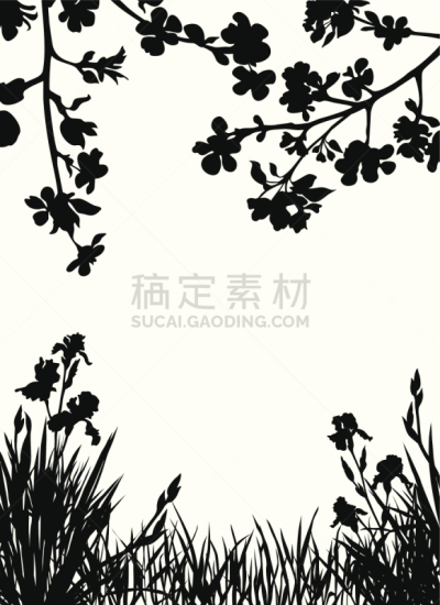 春天,园林,杏花,叶状图案,苹果花,留白,枝繁叶茂,樱花,无人,绘画插图