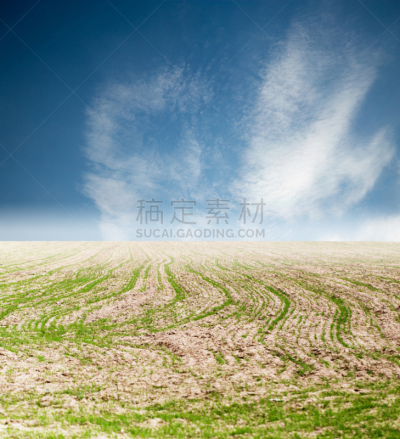 秧苗,田地,自然美,天空,白色,哈萨克斯坦,草地保龄球,法明代尔,垂直画幅