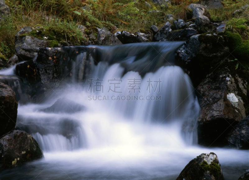 流水,布莱克瓦特国家野生动物保护区,马里兰,自然,水平画幅,瀑布,湿,夏天,户外,液体