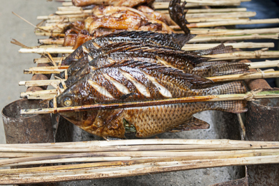 格子烤肉,鱼类,琅勃拉邦,饮食,串肉签,水平画幅,木制,海产,市场,东南亚