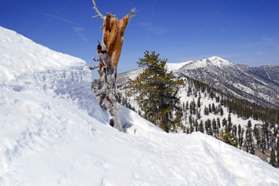 春山山脉,内华达州,雪,山,拉斯维加斯,徒步旅行,极端地形,查尔斯顿,攀登,奉承
