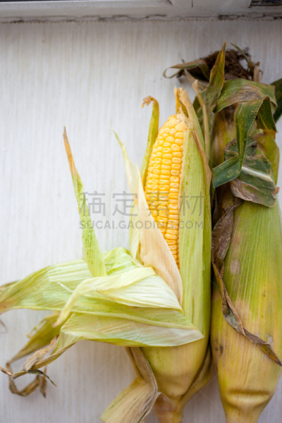 甜玉米,肉穗花序,垂直画幅,无人,夏天,户外,让路标志,植物,农业,叶子