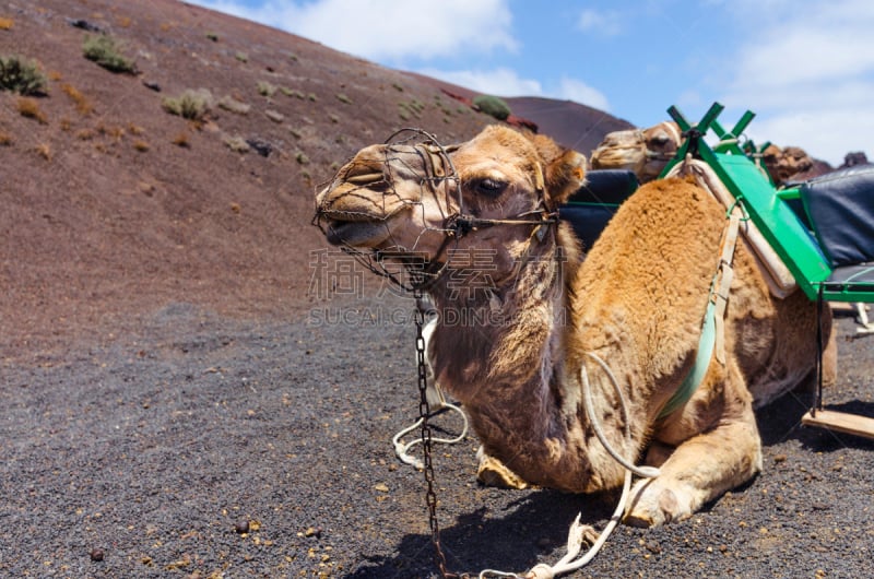 火山,红松,山,timanfaya national park,火山口,大西洋群岛,自然保护区,熔岩,火山地形,加那利群岛