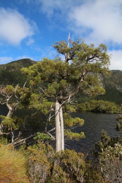 Cradle Mountain-Lake St Clair National Park