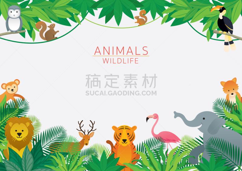 边框,野外动物,热带雨林,猴子,可爱的,热带气候,野生动物,泰国,狮子,枝繁叶茂