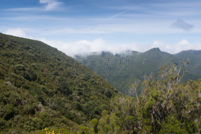 马德拉,山顶,塞沙尔,古梅阿达,月桂树叶,大西洋群岛,自然神力,方向标,天空,步行