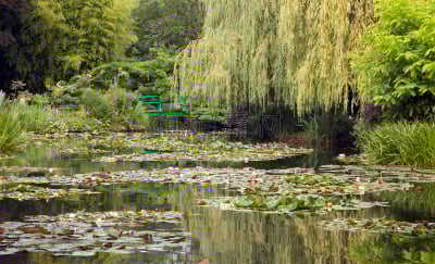 吉凡尼,莫奈基金会,园林,法国,贞德,地形,诺曼底,自然,水,水平画幅