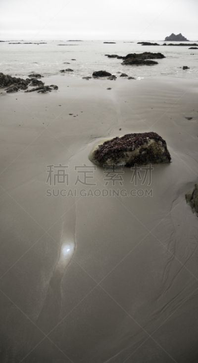 太阳,奥林匹克海湾,垂直画幅,留白,沙子,无人,湿,早晨,海岸地形,偏远的