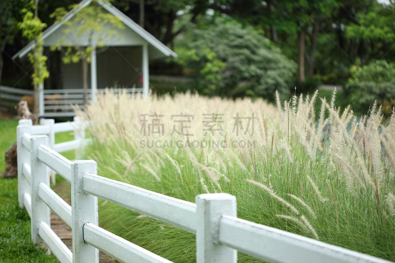 白色,篱笆,草地,农场,春夏系列,国家草场,水平画幅,无人,草原,早晨