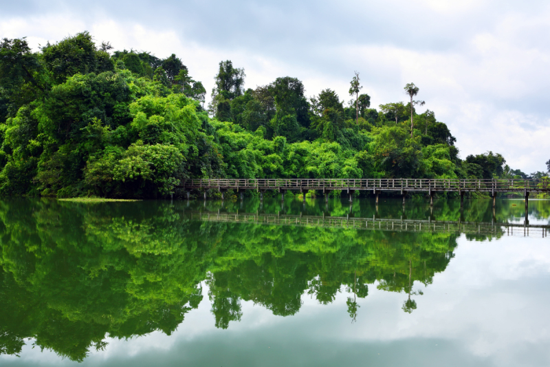 水,天空,泰国,森林,居住区,水平画幅,枝繁叶茂,运河,旅行者,户外预览效果