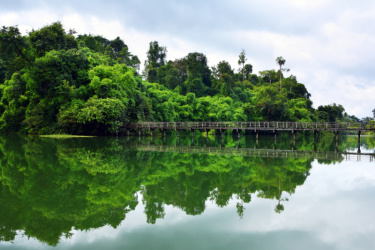 水,天空,泰国,森林,居住区,水平画幅,枝繁叶茂,运河,旅行者,户外