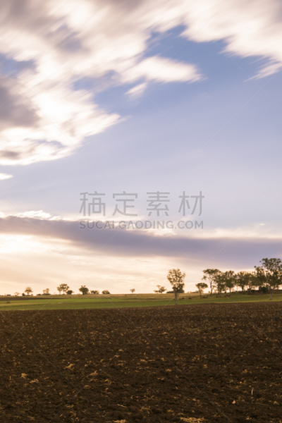 图文巴,田地,农业,澳大利亚,自然,垂直画幅,美,非都市风光,地形,无人