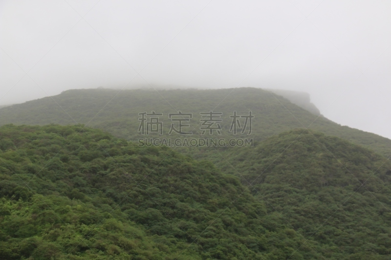 枝繁叶茂,阿曼,塞拉莱,雾,地形,山脉,绿色,度假胜地,美,水平画幅