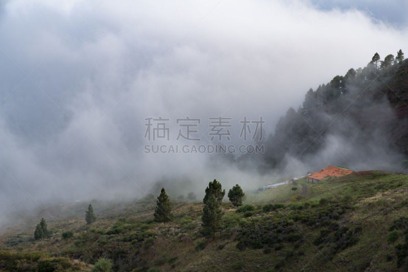 山,云景,雾,房屋,厚的,绿色,高层云,皮可德泰德山,生物学过程,天空