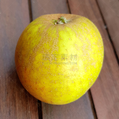 苹果,埃森,水果,无人,古老的,果树,方形画幅,草本,身份,德国