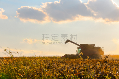 玉米,联合收割机,动作,单一栽培,天空,水平画幅,农业机器,泥土,户外,云景