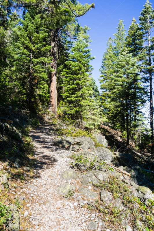 小路,山,徒步旅行,锡斯基尤县,北加利福尼亚州,孤峰群,黑色,夏士塔山,在上面,挨着