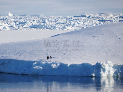 企鹅,两只动物,大冰原,客船,水平画幅,雪,无人,邮轮,鸟类,户外