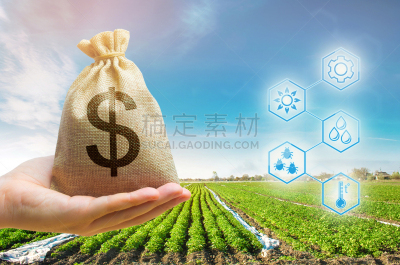 农业,新创企业,农作物,陆地,农民,钱袋,背景,赚钱,给予