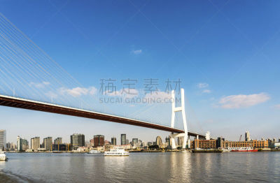 桥,城市,现代,斜拉桥,当地著名景点,东亚,河流,散步道,黄浦江,户外