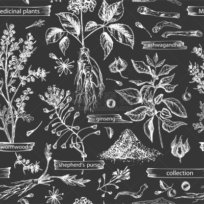 草本,黑板,四方连续纹样,草图,背景,草药,艾菊,人参,黑色背景,分离着色