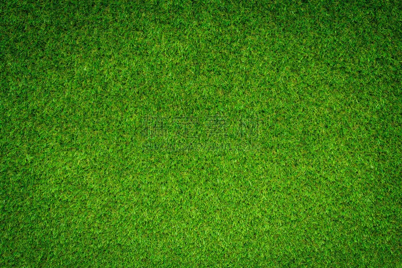 草 背景 绿色 草坪 有序 清新 塑胶 泰国 植物 球场图片素材下载 稿定素材 草 背景 绿色 草坪 有序 清新 塑胶 泰国 植物 球场图片素材下载 稿定素材
