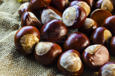 大量物体,栗子,特写,七叶树,坚果壳,自然,褐色,水平画幅,素食,水果