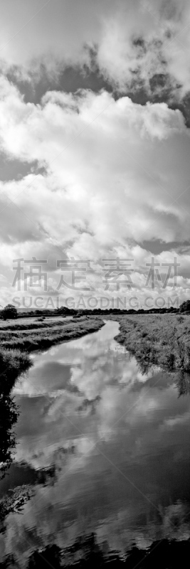 河流,桥,沃辛,南丘,西苏塞克斯,布赖顿,东苏塞克斯,苏塞克斯,垂直画幅,水