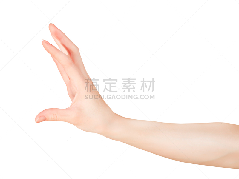 手牵手,女人,小的,美,四肢,水平画幅,提举,美人,白人,部分