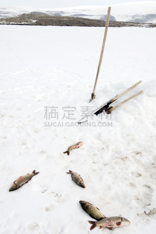 洞,冰,鱼网,鱼漂,水洞湖,垂直画幅,雪,海产,户外,湖